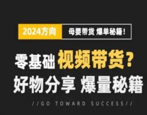 短视频母婴赛道实操流量训练营，零基础视频带货，好物分享，爆量秘籍-星启会