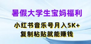 暑假大学生宝妈福利，小红书音乐号月入5000+，复制粘贴就能赚钱【揭秘】-星启会