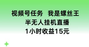 视频号任务，我是螺丝王， 半无人挂机1小时收益15元【揭秘】-星启会