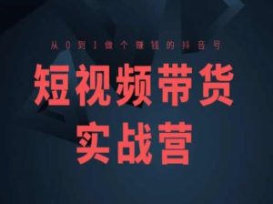 短视频带货实战营(高阶课)，从0到1做个赚钱的抖音号-星启会