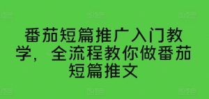 番茄短篇推广入门教学，全流程教你做番茄短篇推文-星启会