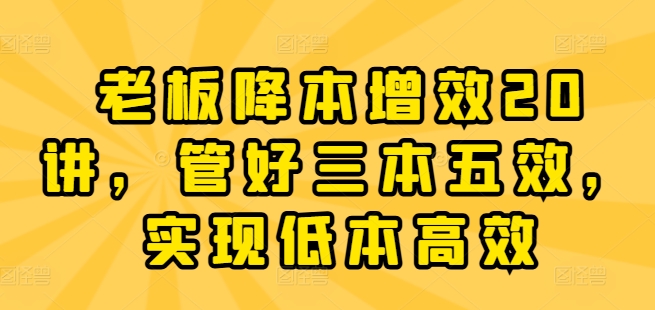 老板降本增效20讲,管好三本五效,实现低本高效