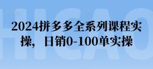 2024拼多多全系列课程实操，日销0-100单实操【必看】-星启会