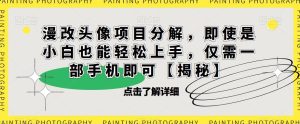 漫改头像项目分解，即使是小白也能轻松上手，仅需一部手机即可【揭秘】-星启会