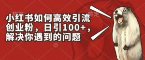 小红书如何高效引流创业粉，日引100+，解决你遇到的问题【揭秘】-星启会