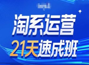 淘系运营24天速成班第28期最新万相台无界带免费流量-星启会