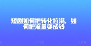 短剧如何把转化拉满，如何把流量变成钱-星启会