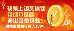 视频上镜实操课：带你0基础演出吸金爆款，赚钱主播如何月入10W+-星启会