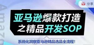 【训练营】亚马逊爆款打造之精品开发SOP，系统化洞察亚马逊精品选品全流程-星启会