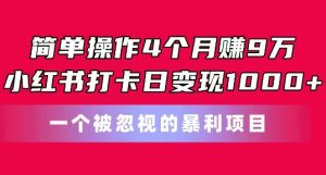 简单操作4个月赚9w，小红书打卡日变现1k，一个被忽视的暴力项目【揭秘】-星启会
