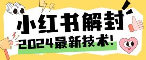 2024最新小红书账号封禁解封方法，无限释放手机号【揭秘】-星启会