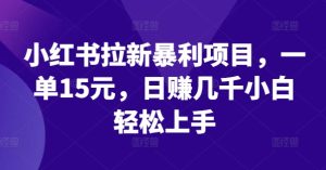 小红书拉新暴利项目，一单15元，日赚几千小白轻松上手【揭秘】-星启会