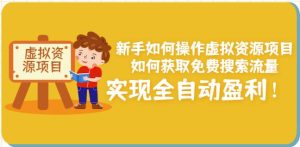新手如何操作虚拟资源项目：如何获取免费搜索流量，实现全自动盈利！-星启会