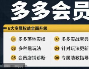 拼多多会员，拼多多实战宝典+实战落地实操，从新手到高阶内容全面覆盖-星启会