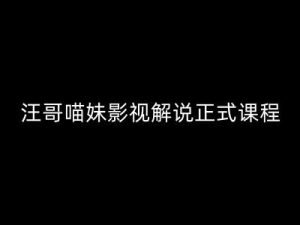 汪哥影视解说正式课程：剪映/PR教学/视解说剪辑5大黄金法则/全流程剪辑7把利器等等-星启会