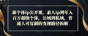 新个体ip公开课，素人ip到年入百万超级个体，公域到私域，普通人可复制的变现路径拆解-星启会