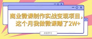 商业微课制作实战变现项目，这个月我做微课赚了2W+-星启会