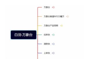 白羽·直引万搜索全篇，从0-1，多个类目实操经验总结付费-星启会