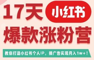 17天小红书爆款涨粉营（广告变现方向），教你打造小红书博主IP、接广告变现的-星启会