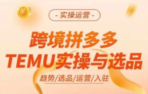跨境拼多多TEMU实操与选品，多多temu跨境选品运营实操-星启会