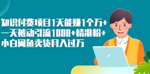 知识付费项目1天能赚1个万+一天被动引流1000+精准粉+小白闲鱼卖货月入过万-星启会