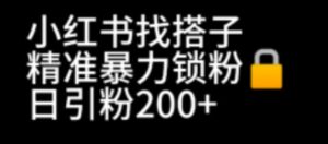 小红书找搭子暴力精准锁粉+引流日引200+精准粉-星启会