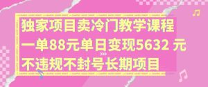 独家项目卖冷门教学课程一单88元单日变现5632元违规不封号长期项目【揭秘】-星启会