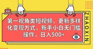 第一视角类短视频，更新多样化变现方式，新手小白无门槛操作，日入500+【揭秘】-星启会