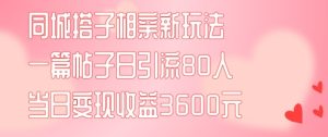 同城搭子相亲新玩法一篇帖子引流80人当日变现3600元(项目教程+实操教程)【揭秘】-星启会