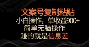 文案号掘金，简单复制粘贴，小白操作，单作品收益900+【揭秘】-星启会