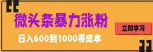 微头条暴力涨粉技巧搬运文案就能涨几万粉丝，简单0成本，日赚600【揭秘】-星启会