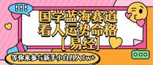国学蓝海赋能赛道，零基础学习，手把手教学独一份新手小白月入1W+【揭秘】-星启会