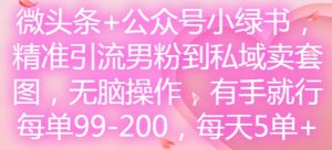 微头条+公众号小绿书，精准引流男粉到私域卖套图，无脑操作，有手就行，每单99-200，每天5单-星启会