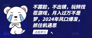 不露脸，不出镜，玩转找茬游戏，月入过万不是梦，2024年风口爆发，抓住机遇【揭秘】-星启会