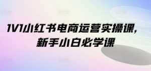 1V1小红书电商运营实操课，新手小白必学课-星启会