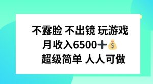 不露脸 不出境 玩游戏，月入6500 超级简单 人人可做【揭秘】-星启会
