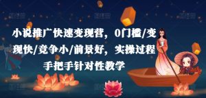 小说推广快速变现营，0门槛/变现快/竞争小/前景好，实操过程手把手针对性教学-星启会