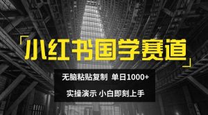 小红书国学赛道，无脑粘贴复制，单日1K，实操演示，小白即刻上手【揭秘】-星启会