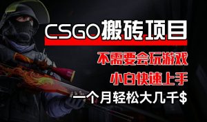 CSGO 装备搬砖项目，操作简单，不需要会玩游戏，小白也能快速上手，一个月轻松大几千【揭秘】-星启会