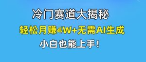冷门赛道大揭秘，轻松月赚1W+无需AI生成，小白也能上手【揭秘】-星启会