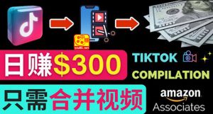 搬运Tiktok短视频到Youtube赚钱，只需下载，合并视频，日赚300美元-星启会