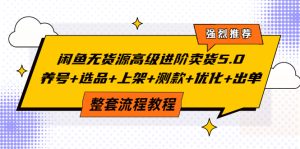 闲鱼无货源高级进阶卖货5.0，养号+选品+上架+测款+优化+出单整套流程教程-星启会