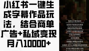 小红书一键生成字幕作品玩法，结合商单广告+私域变现月入1w+【揭秘】-星启会