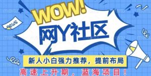 有道词典WOW社区项目，新人小白强力推荐，提前布局，高速上升期，蓝海项目【揭秘】-星启会