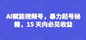 AI赋能视频号，暴力起号秘籍，15 天内必见收益【揭秘】-星启会