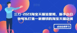 三刀·2023淘宝天猫运营班，新手小白也可以打造一家赚钱的淘宝天猫店铺-星启会