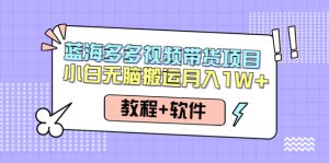 人人都能操作的蓝海多多视频带货项目 小白无脑搬运月入10000+（教程+软件）-星启会