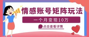 云天情感账号矩阵项目，简单操作，月入10万+可放大（教程+素材）-星启会
