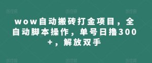 wow自动搬砖打金项目，全自动脚本操作，单号日撸300+，解放双手【揭秘】-星启会
