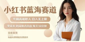 小红书蓝海赛道，圈中高端职场人，月入无上限，可矩阵，内含私域实操教程!-星启会
